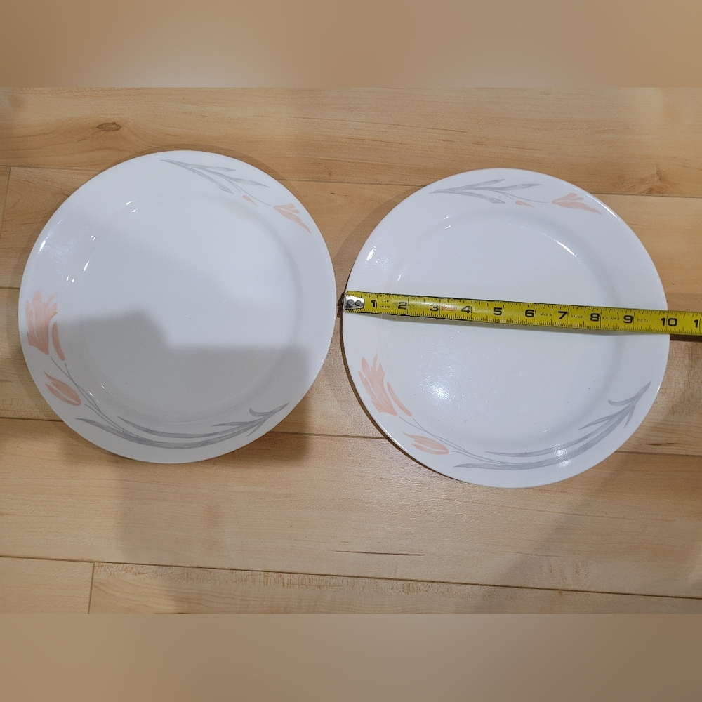 2 Corelle Floral Wisp dinner plates